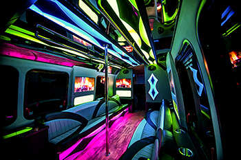 18 passenger party bus rental
