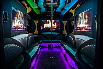 20 passenger party bus