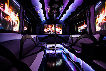 Party bus rental for 30